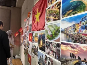 Hoạt động tại Alice