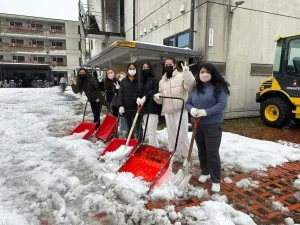 Hoạt động tại Alice