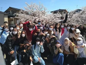 Hoạt động tại Alice