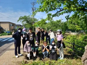 Hoạt động tại Alice