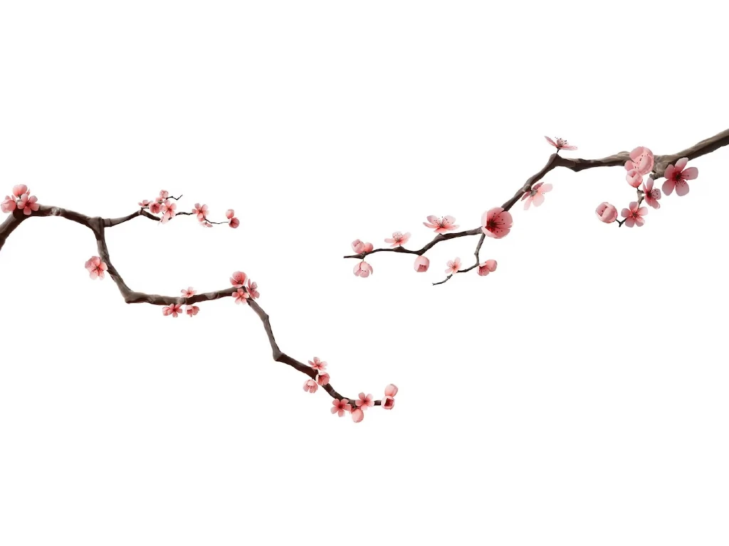 Điều kiện du học Nhật Bản dễ dàng