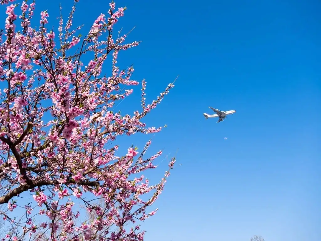 Du học Nhật Bản an toàn